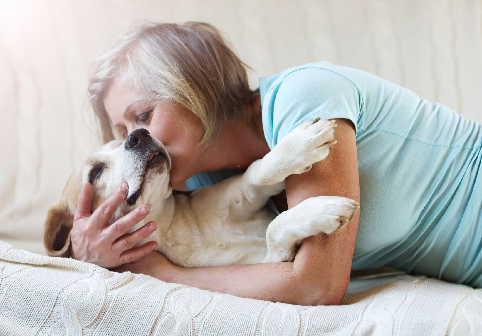 aging pets
