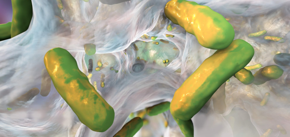 biofilm